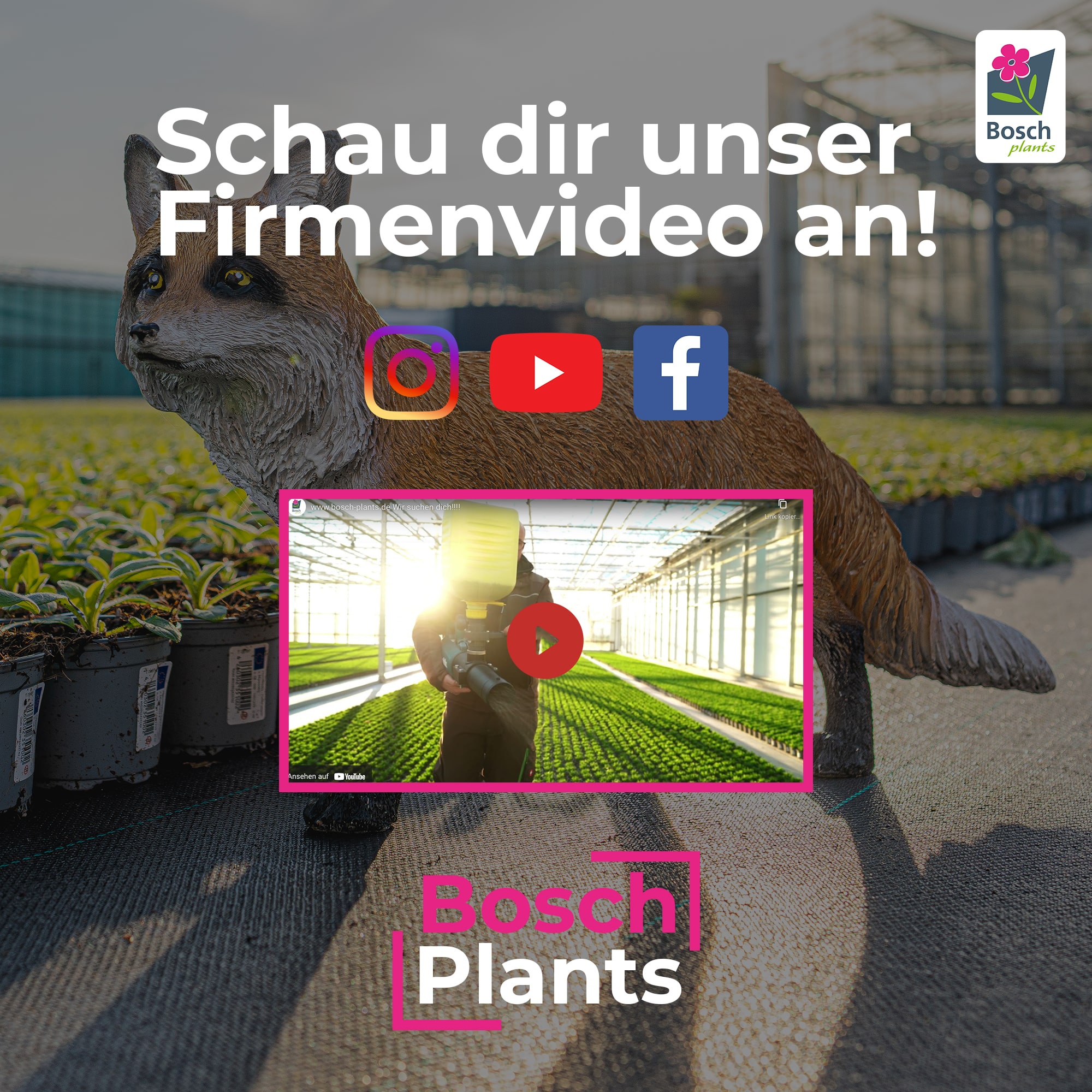 (c) Boschplants-jobs.de